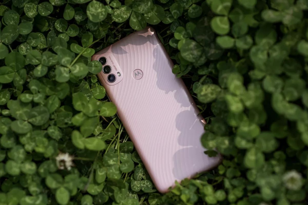 Modelo: Moto E40 Moto E40 em meio à plantas mostrando modelo das costas do celular